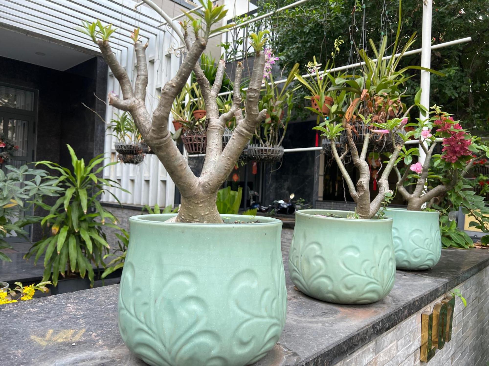 Home Resort With Full Amenities Ho Chi Minh-byen Eksteriør bilde